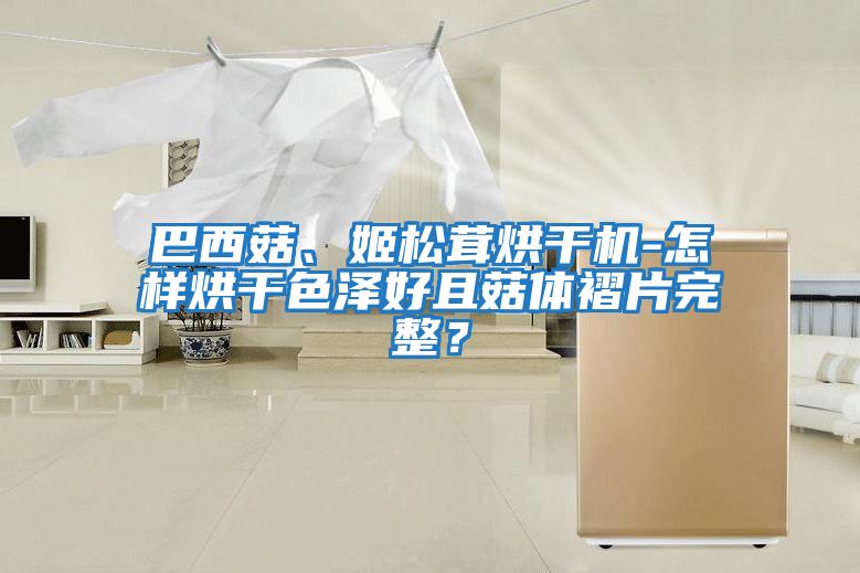 巴西菇、姬松茸烘干機-怎樣烘干色澤好且菇體褶片完整？