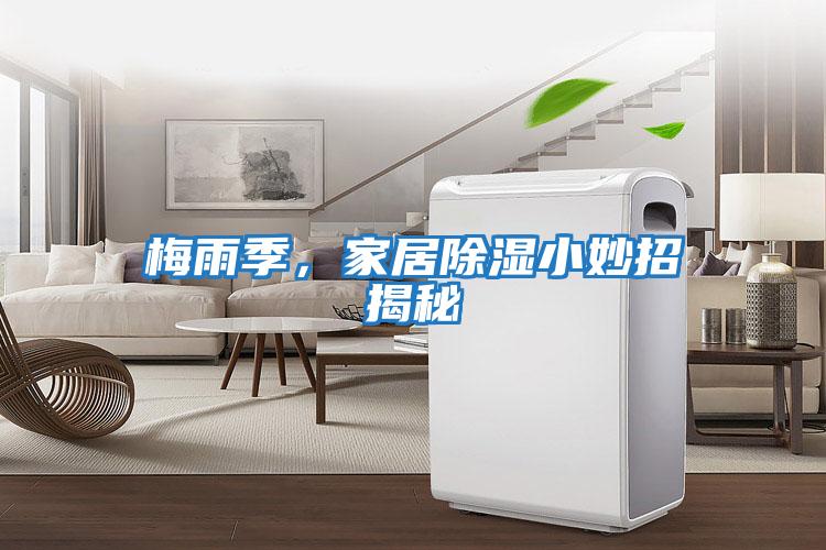 梅雨季，家居除濕小妙招揭秘