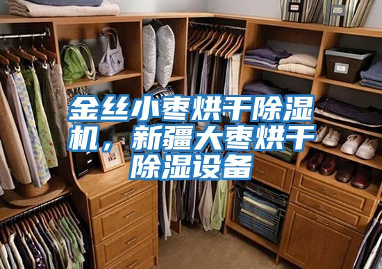 金絲小棗烘干除濕機，新疆大棗烘干除濕設備