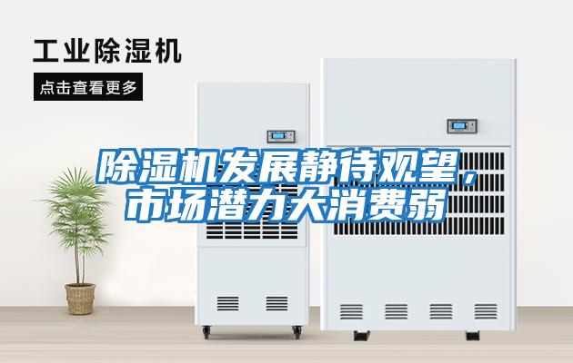 除濕機發展靜待觀望，市場潛力大消費弱