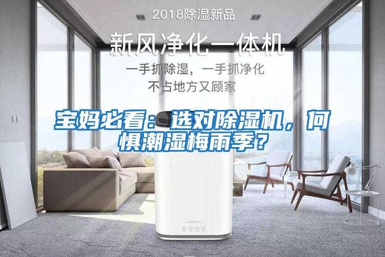 寶媽必看：選對除濕機，何懼潮濕梅雨季？