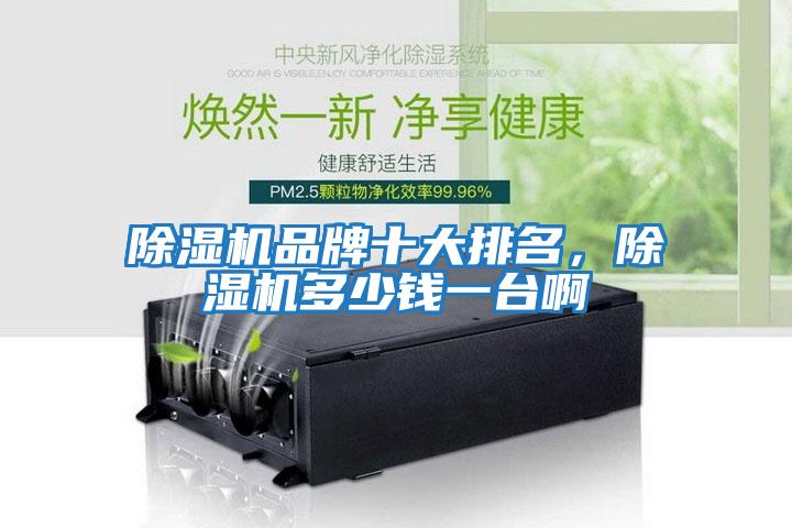 除濕機品牌十大排名，除濕機多少錢一臺啊