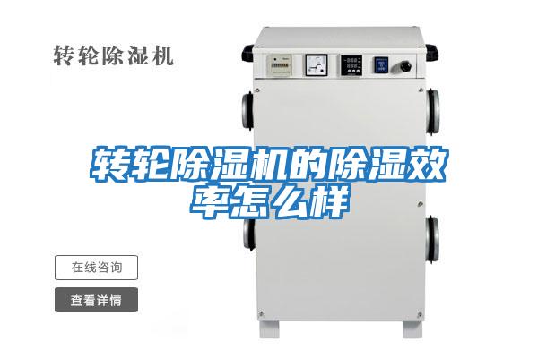 轉輪除濕機的除濕效率怎么樣