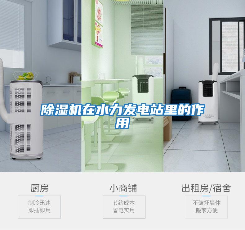 除濕機在水力發電站里的作用