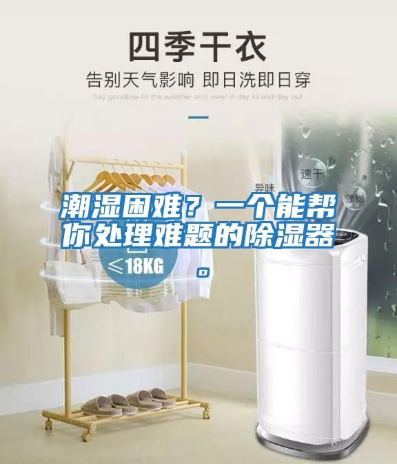 潮濕困難?一個能幫你處理難題的除濕器。