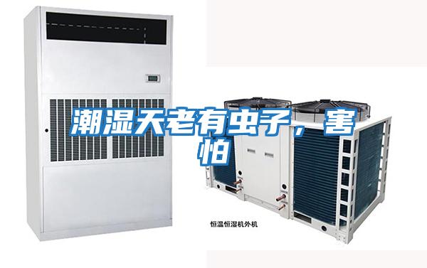 潮濕天老有蟲子，害怕