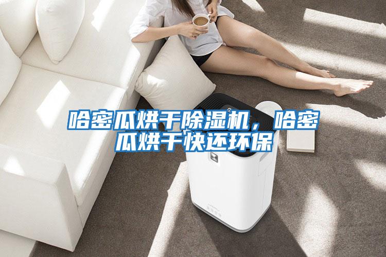 哈密瓜烘干除濕機(jī)，哈密瓜烘干快還環(huán)保