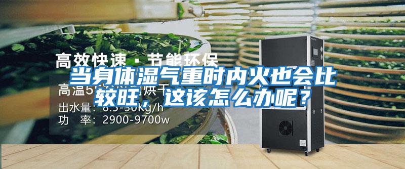 當身體濕氣重時內火也會比較旺,這該怎么辦呢?