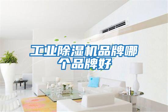 工業除濕機品牌哪個品牌好