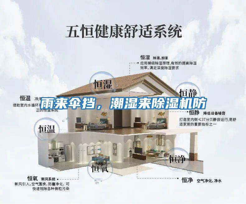 雨來傘擋,潮濕來除濕機防