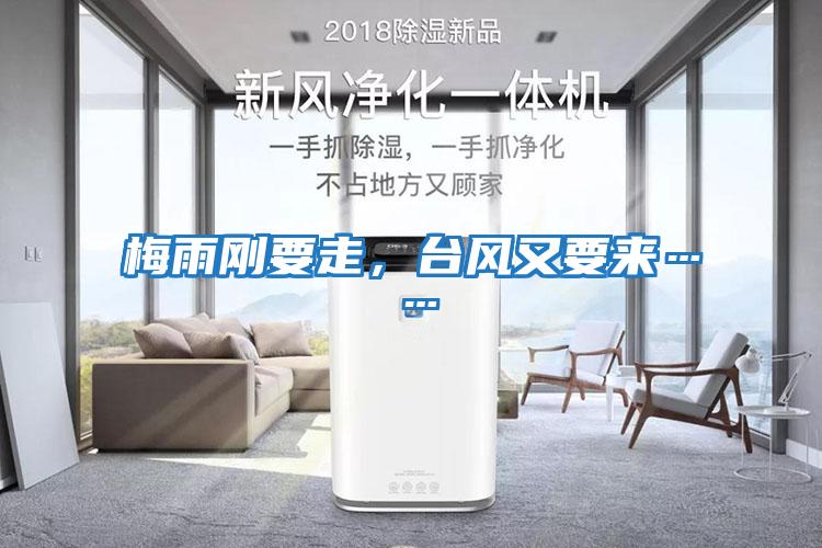 梅雨剛要走，臺風又要來……