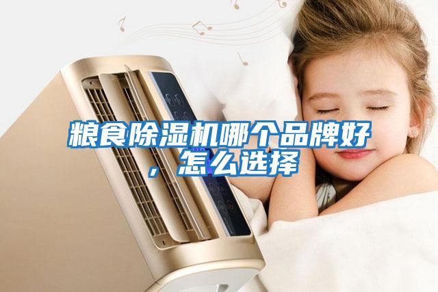 糧食除濕機哪個品牌好，怎么選擇
