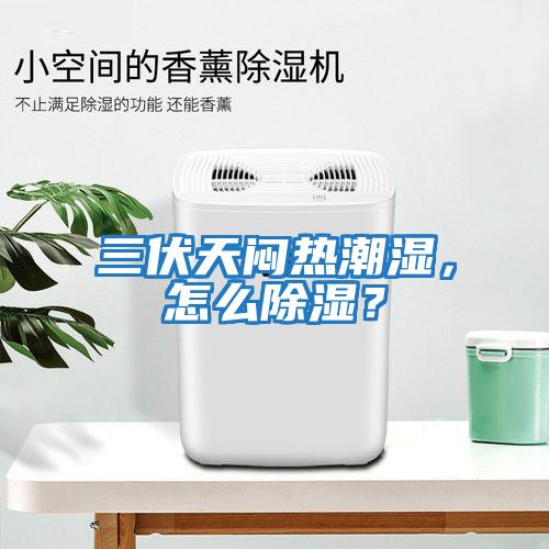 三伏天悶熱潮濕，怎么除濕？
