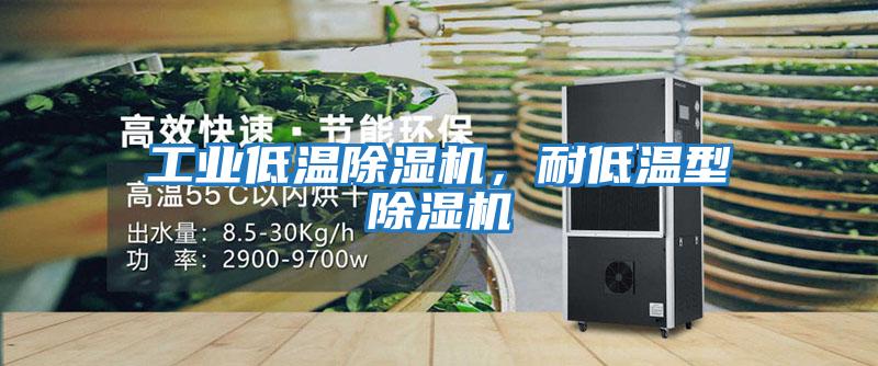 工業低溫除濕機，耐低溫型除濕機