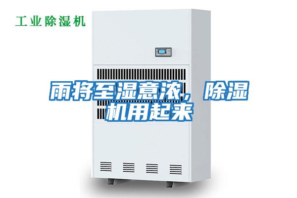 雨將至濕意濃，除濕機用起來