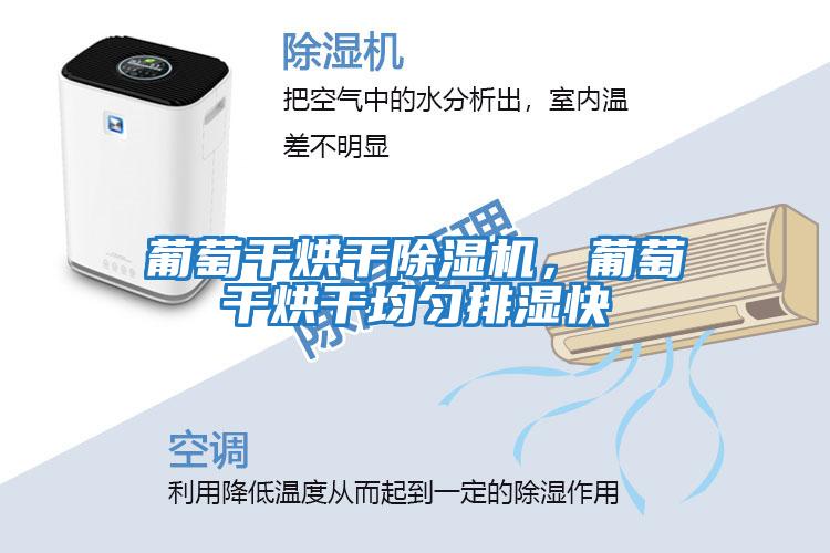 葡萄干烘干除濕機，葡萄干烘干均勻排濕快