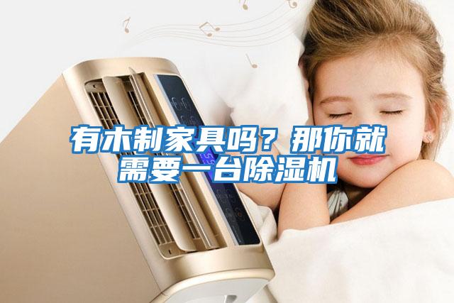 有木制家具嗎？那你就需要一臺除濕機