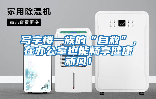 寫字樓一族的“自救”，在辦公室也能暢享健康新風！