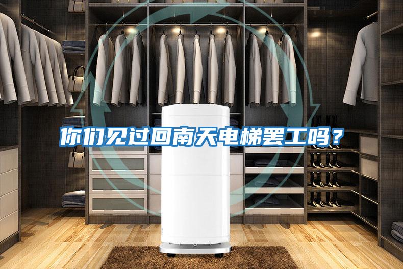 你們見過(guò)回南天電梯罷工嗎？