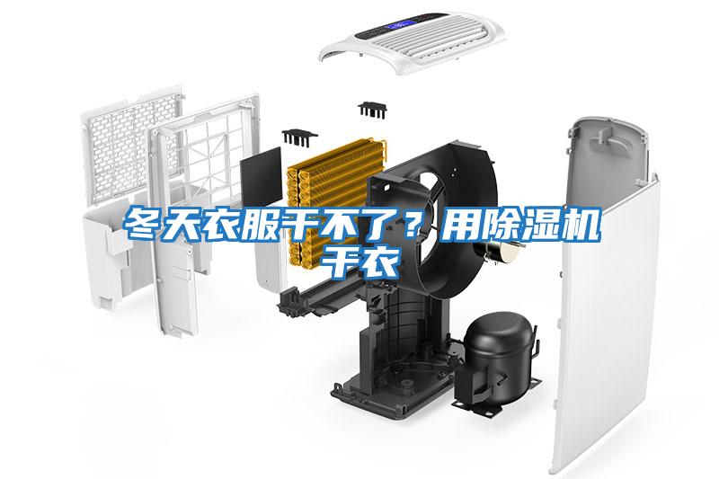 冬天衣服干不了？用除濕機干衣