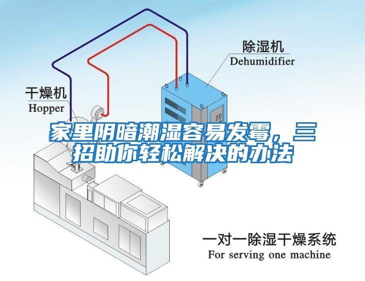 家里陰暗潮濕容易發霉,三招助你輕松解決的辦法