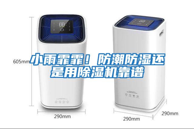 小雨霏霏！防潮防濕還是用除濕機靠譜