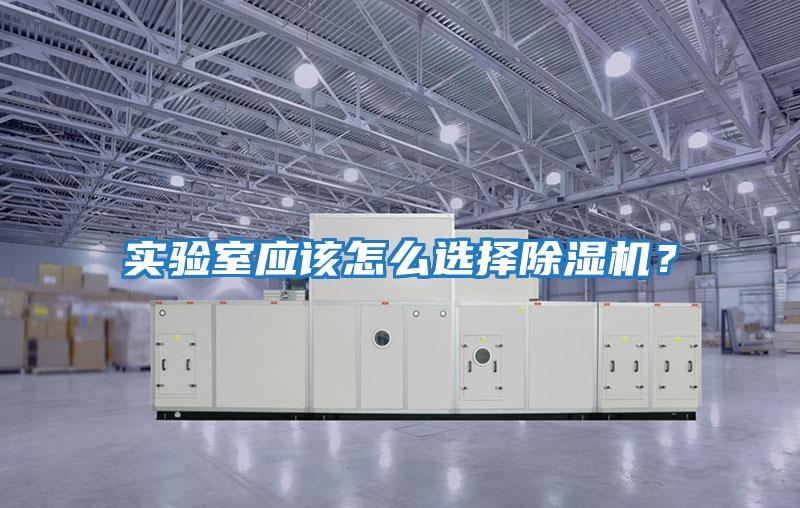 實驗室應該怎么選擇除濕機?