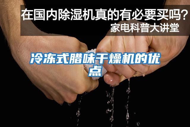 冷凍式臘味干燥機的優點