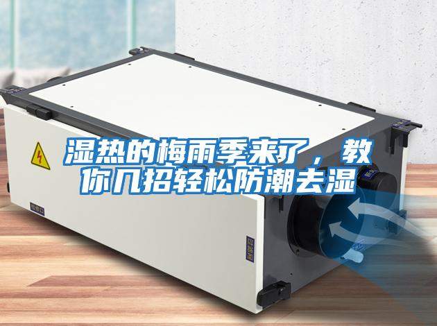 濕熱的梅雨季來了，教你幾招輕松防潮去濕