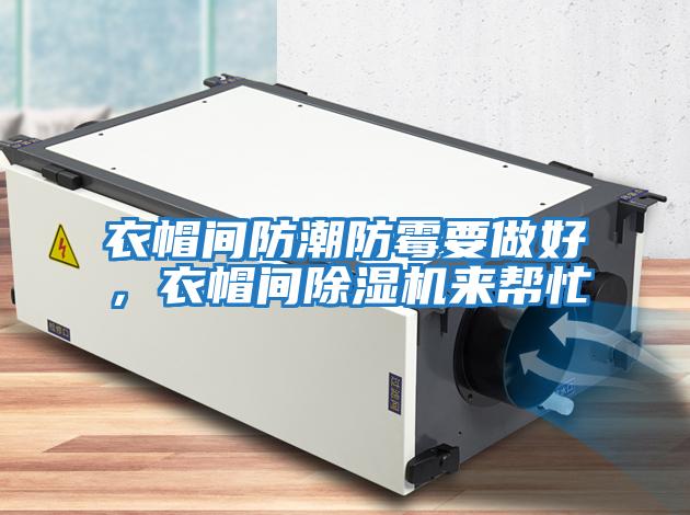 衣帽間防潮防霉要做好，衣帽間除濕機來幫忙