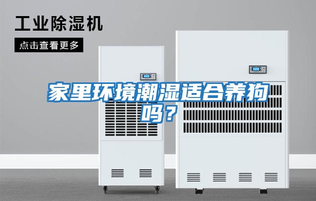 家里環境潮濕適合養狗嗎？