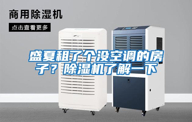 盛夏租了個沒空調的房子？除濕機了解一下