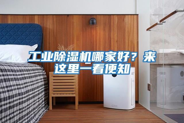 工業(yè)除濕機哪家好?來這里一看便知