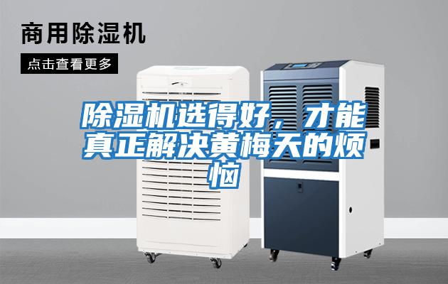 除濕機選得好,才能真正解決黃梅天的煩惱