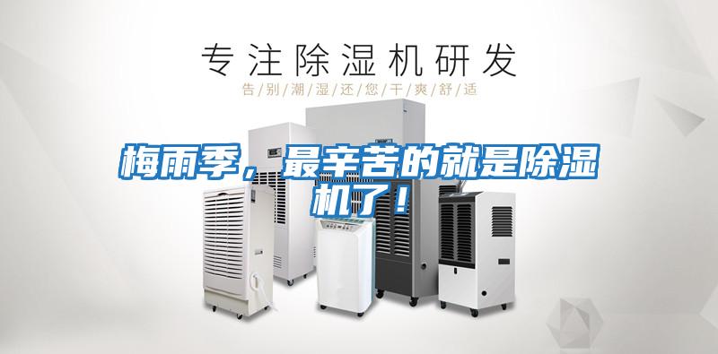 梅雨季，最辛苦的就是除濕機了！