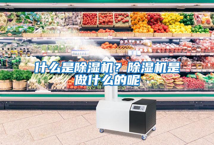 什么是除濕機？除濕機是做什么的呢