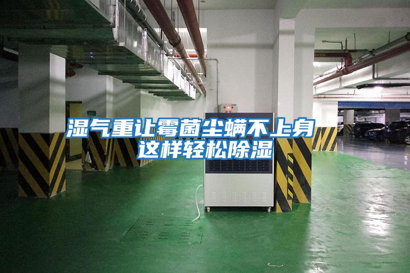 濕氣重讓霉菌塵螨不上身 這樣輕松除濕
