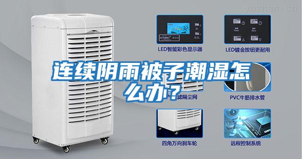 連續(xù)陰雨被子潮濕怎么辦？