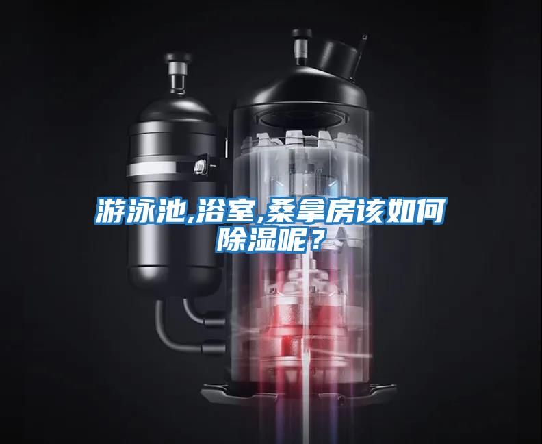 游泳池,浴室,桑拿房該如何除濕呢?