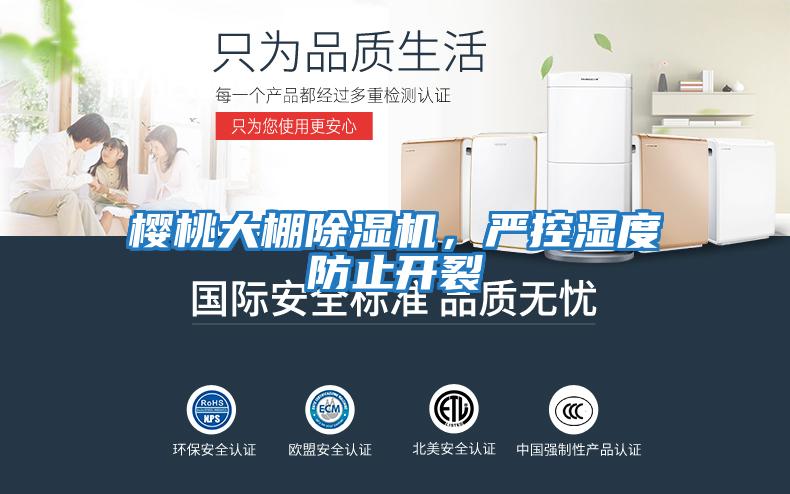 櫻桃大棚除濕機(jī)，嚴(yán)控濕度防止開裂