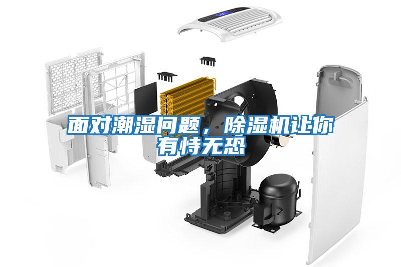 面對潮濕問題，除濕機讓你有恃無恐