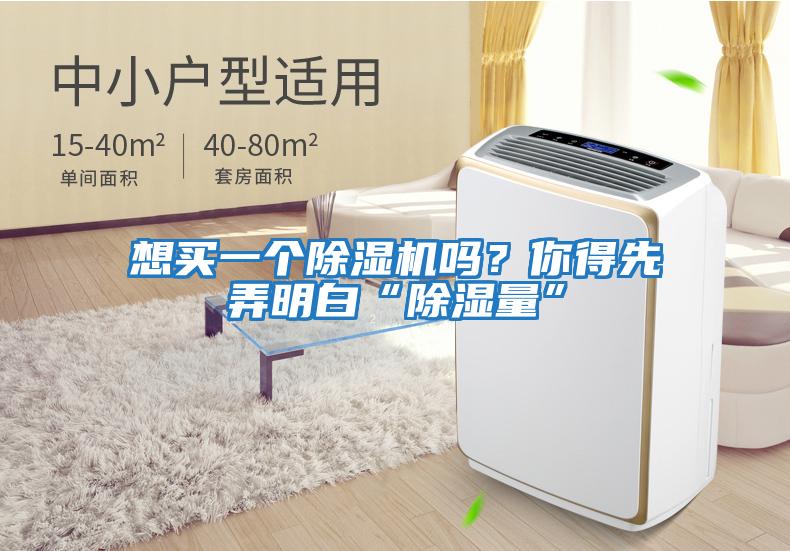 想買(mǎi)一個(gè)除濕機(jī)嗎？你得先弄明白“除濕量”