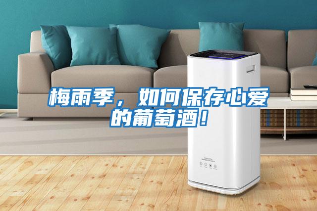 梅雨季，如何保存心愛的葡萄酒！
