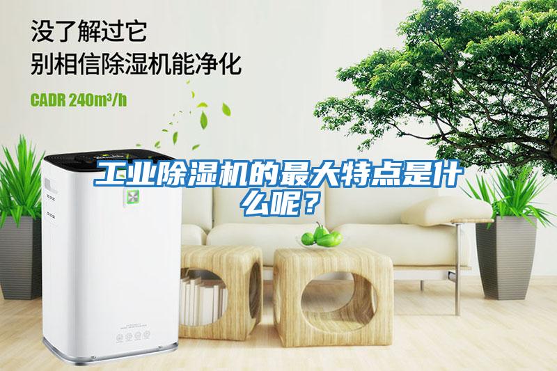 工業除濕機的最大特點是什么呢？