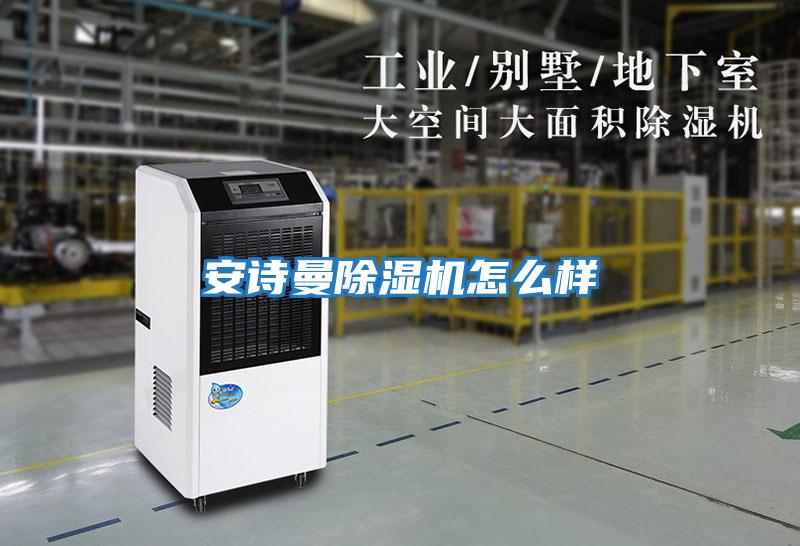 安詩曼除濕機怎么樣