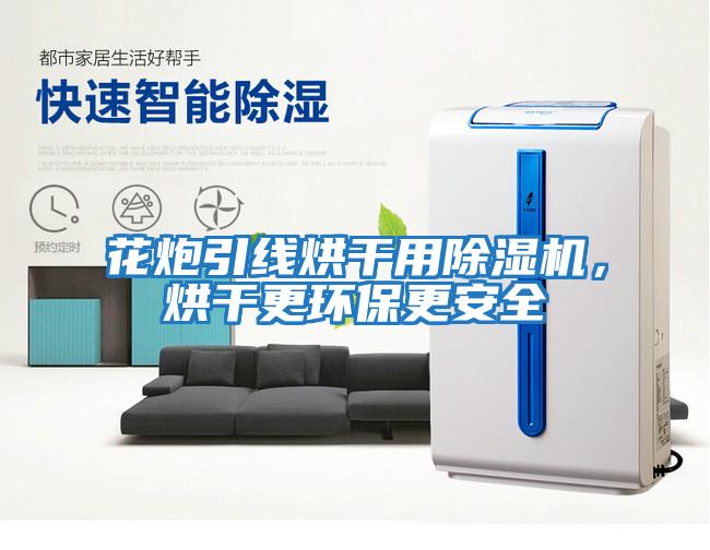 花炮引線烘干用除濕機，烘干更環保更安全