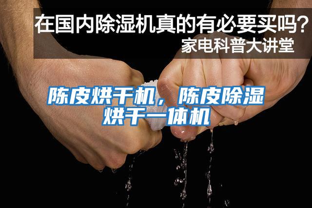 陳皮烘干機,陳皮除濕烘干一體機