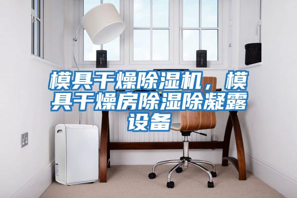 模具干燥除濕機，模具干燥房除濕除凝露設備