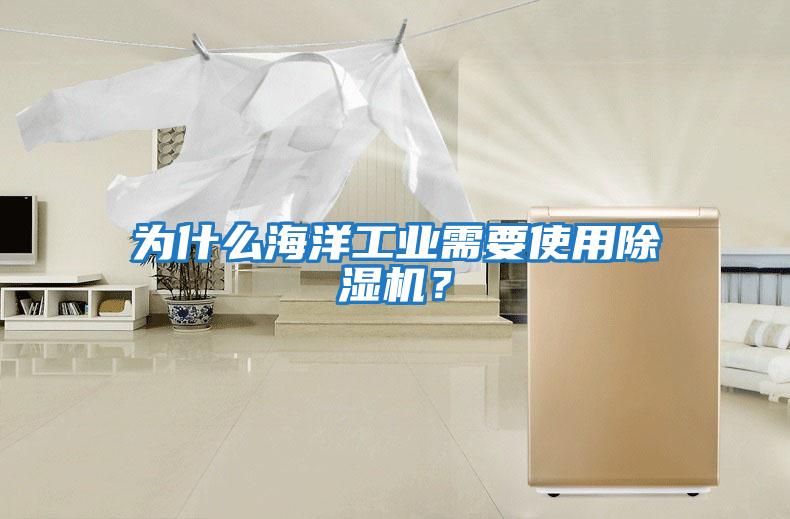 為什么海洋工業需要使用除濕機？