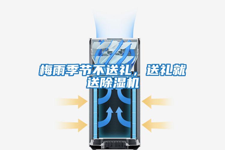 梅雨季節不送禮，送禮就送除濕機